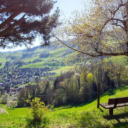 Apartman Charme & Nature Lapoutroie