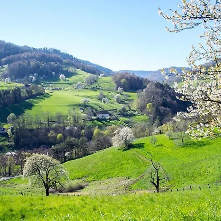 Apartman Charme & Nature Lapoutroie
