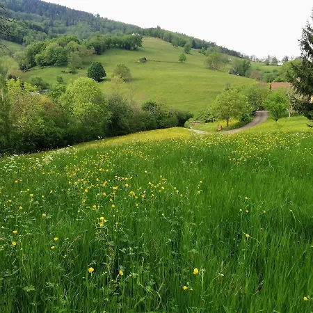 Charme & Nature * Lapoutroie